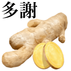 Flesh Ginger 8