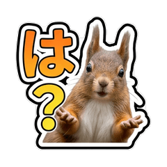 Real Squirrel Playful Stickers