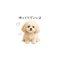 Popo's Therapy Dog Stickers