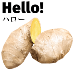 Flesh Ginger 14