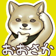 Shiba Inu Ko-chan, Osakaben