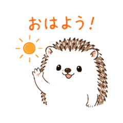 hedgehog - Everyday Talk