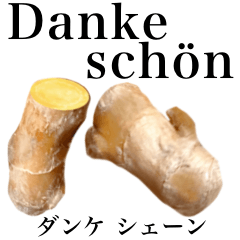 Flesh Ginger 17