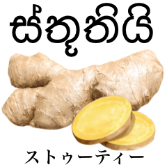 Flesh Ginger 19