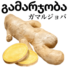 Flesh Ginger 21