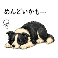 Border Collie  NegativeStickers NanoLife
