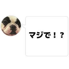 RINGOAME_20260429164634
