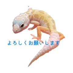 ryushi_20260429164901
