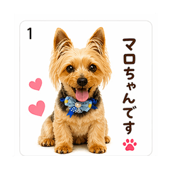 Marochankawaii