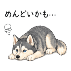 SiberianHusky  NegativeStickers NanoLife