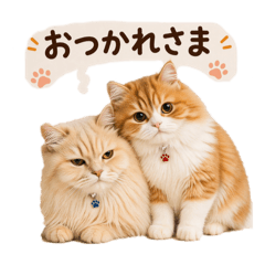 HanaHana_20260429173326