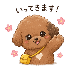 Watasuke the Toy Poodle