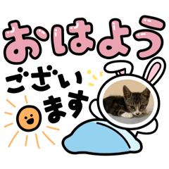 ne ko_