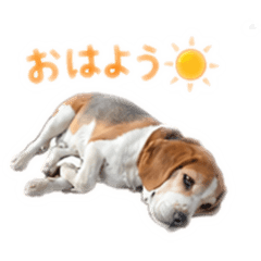 mochimochi_works_20260429225358