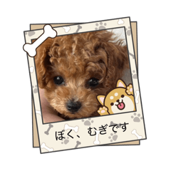 Mikigoon_20260429225338
