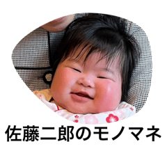 pipu_20260429225718