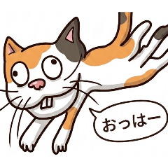 KADOYA24-2
