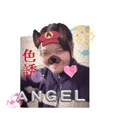 你根本不愛我