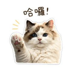 抱抱貼貼