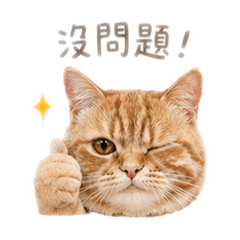 金萱歐蕾X日常貼圖01