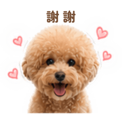 肉桂♡