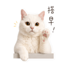 圓ㄉ上班系列