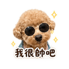 阿金寶貝的表情包