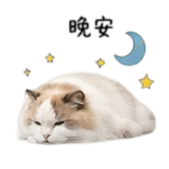 毛毛 の 日常2