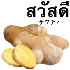 Flesh Ginger 5