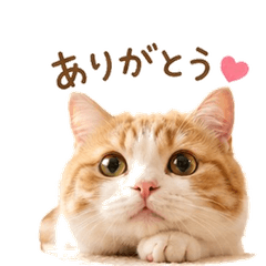 Nekobiyori Stickers