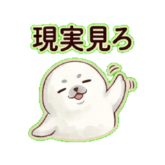 a chill baby seal 2