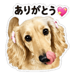 Peace Everyday Cute Stickers (8 Pack)