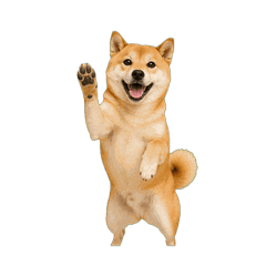Shiba Inu Taro Daily Stickers