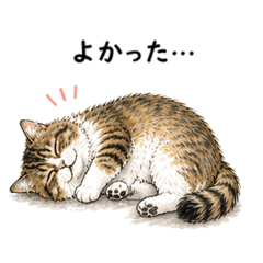 misakofusako_20260429191636