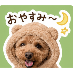 Moka_20260429191225
