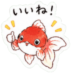 圓滾滾金魚的可愛貼圖
