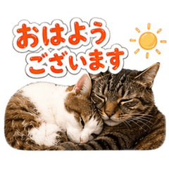 yuto_20260429192503