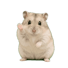 Hamster Mugi Daily Stickers