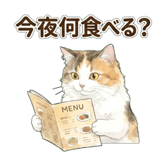 Calico Cat Foodie Chat