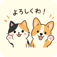 Calico Cat & Corgi Best Friends2