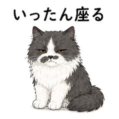Gomajiro 04