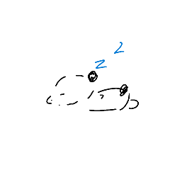 nyanya_20260429202233
