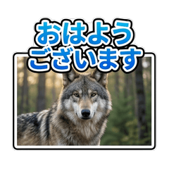 Realistic Wolf: Polite Business Stamps