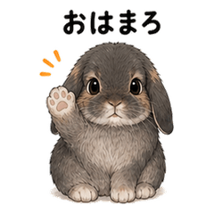Bunny Everyday 02