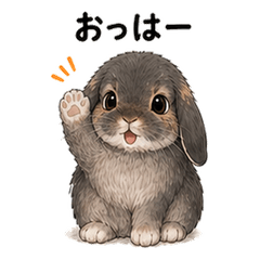 Bunny Everyday 03