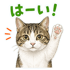 Daily Stickers of the Tabby & White Cat