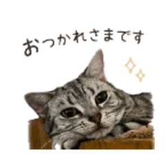 KOUME - Chat Stickers