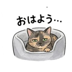 Yoshino-Daily Chat Stickers