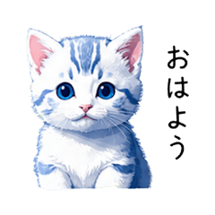 Tiny Kitten, Big Expressions