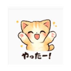 Kitten - Daily Chat Stickers